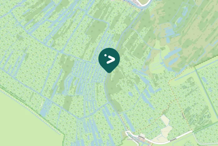 Spotted White-tailed Eagle