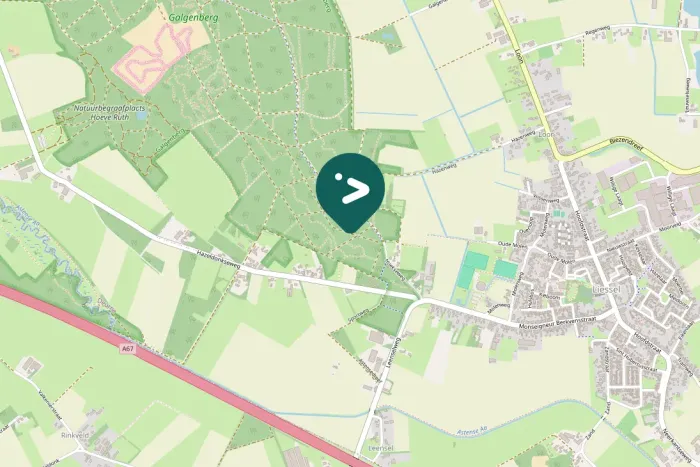 Gespotte Groene specht