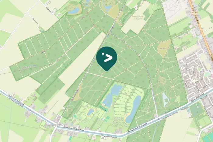 Spotted Common Chaffinch