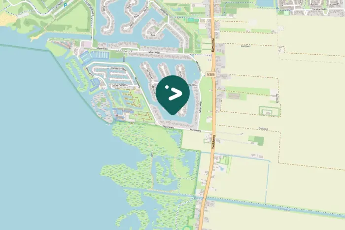 Spotted Black-headed Gull