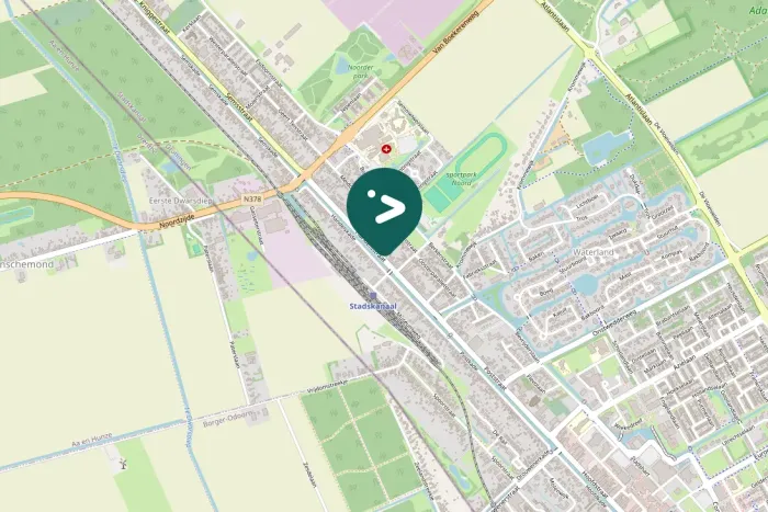 Spotted Eurasian Moorhen