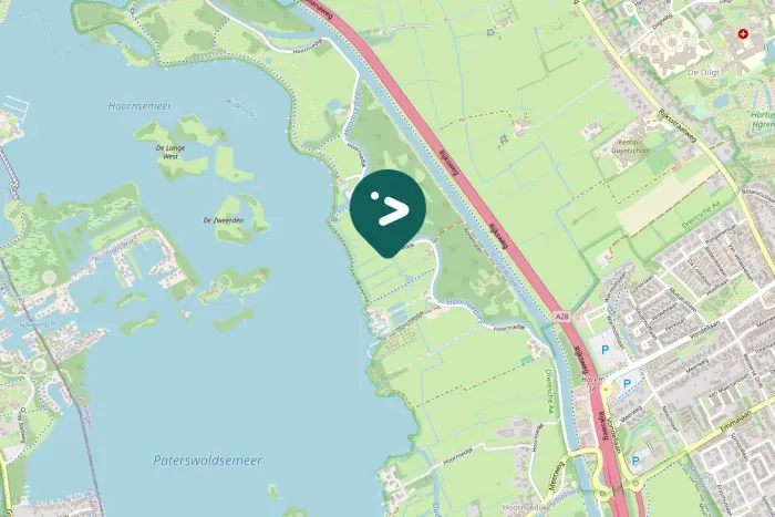 Spotted Eurasian Jay