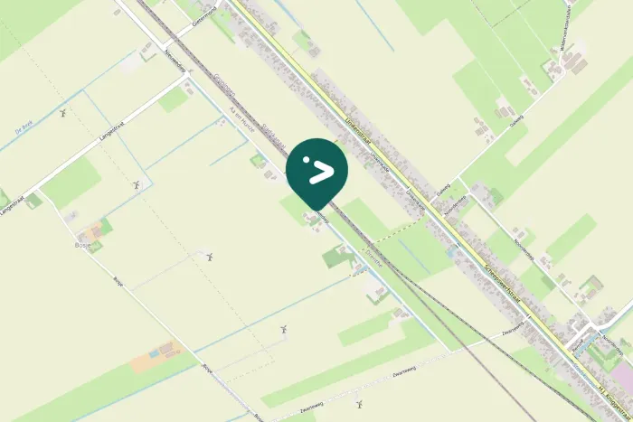 Spotted Egyptian Goose