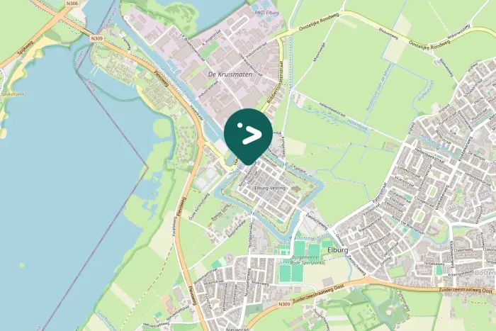 Gespotte Zwarte specht