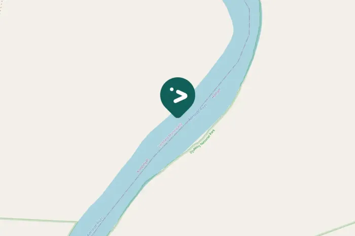 Gespotte Zwarte wouw