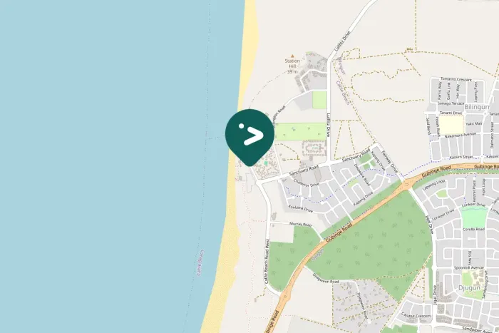 Gespotte Strohalsibis