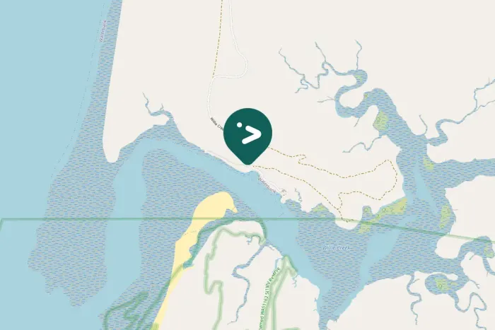 Gespotte Brahmaanse wouw