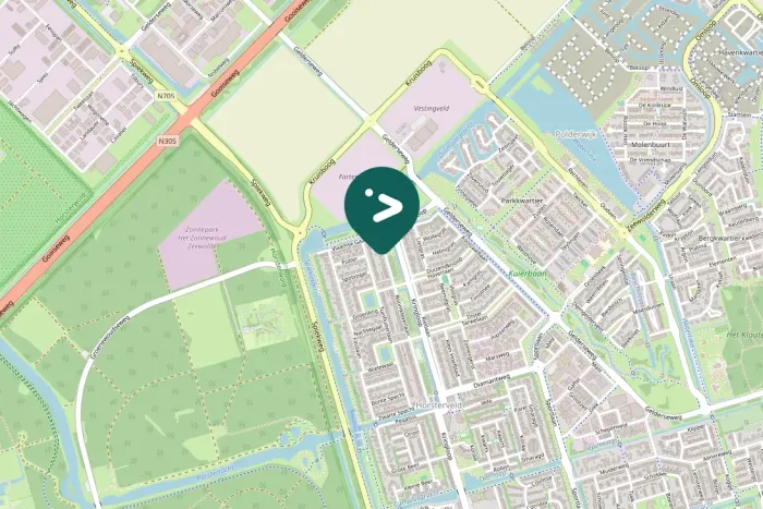 Gespotte Zilvermeeuw