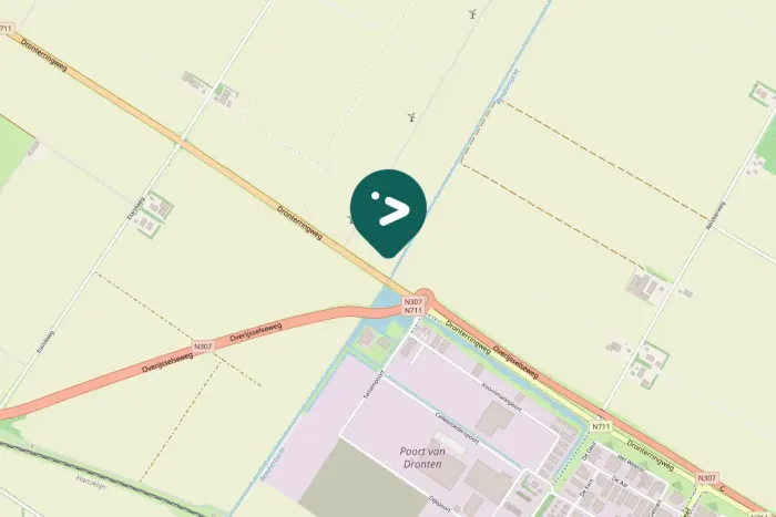 Gespotte Knobbelzwaan