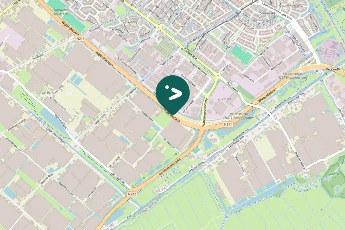 Gespotte Grote mantelmeeuw