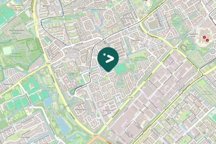 Gespotte Zwarte mees