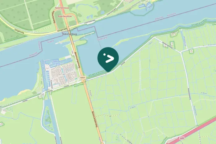 Gespotte Grote mantelmeeuw