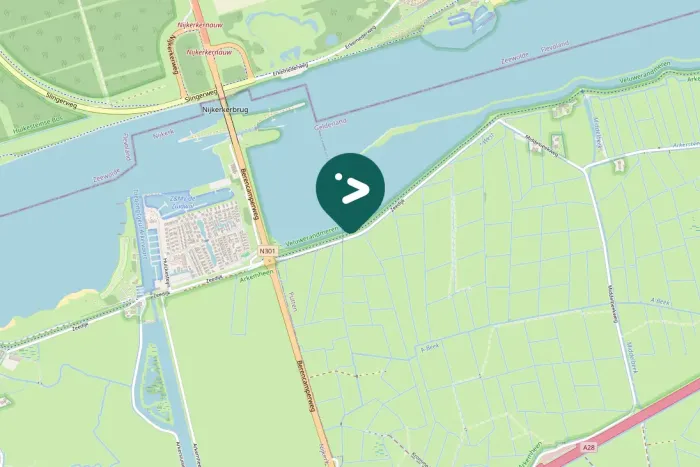 Gespotte Kleine zwaan