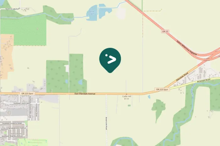 Gespotte Amerikaanse blauwe reiger