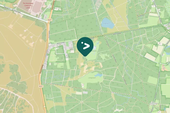 Gespotte Zwarte specht