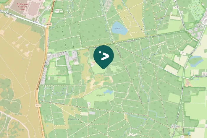 Gespotte Kleine zwaan