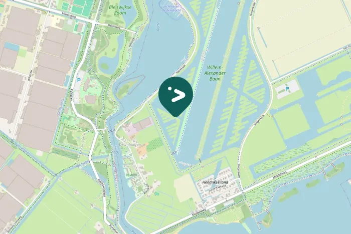 Gespotte Kleine zilverreiger