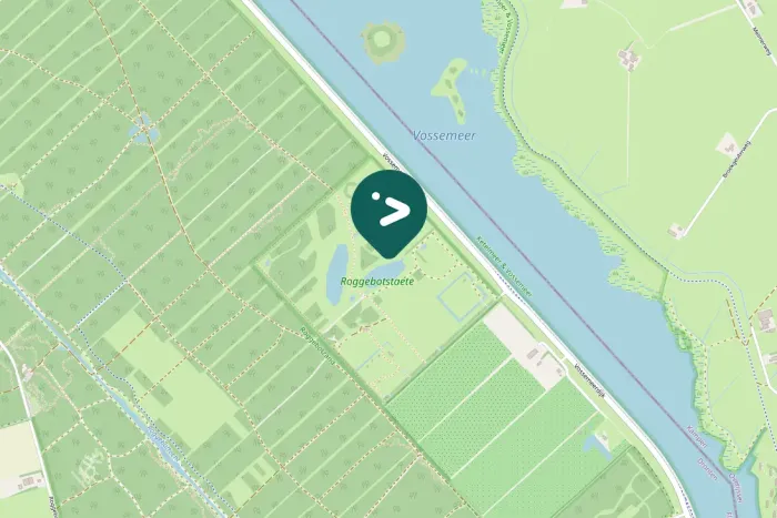 Gespotte Zanglijster