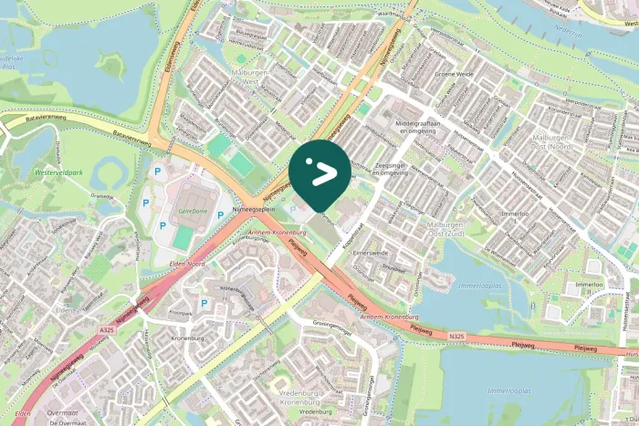 Gespotte Witte kwikstaart