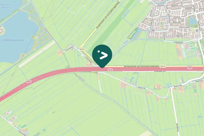 Gespotte Indische gans