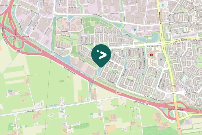 Spotted Common Chaffinch