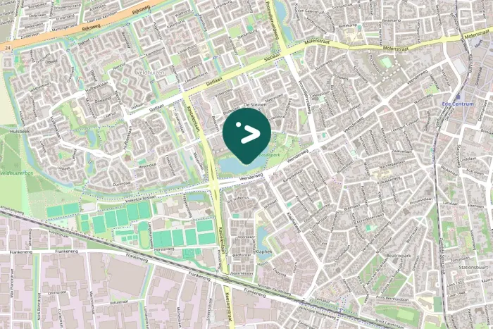 Spotted Muscovy Duck