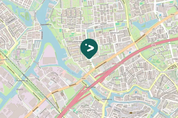 Gespotte Grote Canadese gans