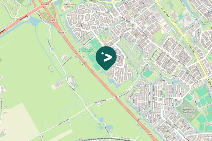 Spotted Egyptian Goose