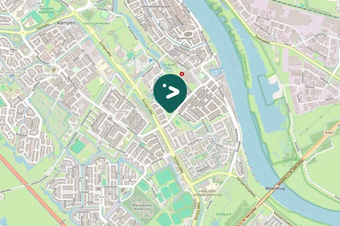 Gespotte Zilvermeeuw