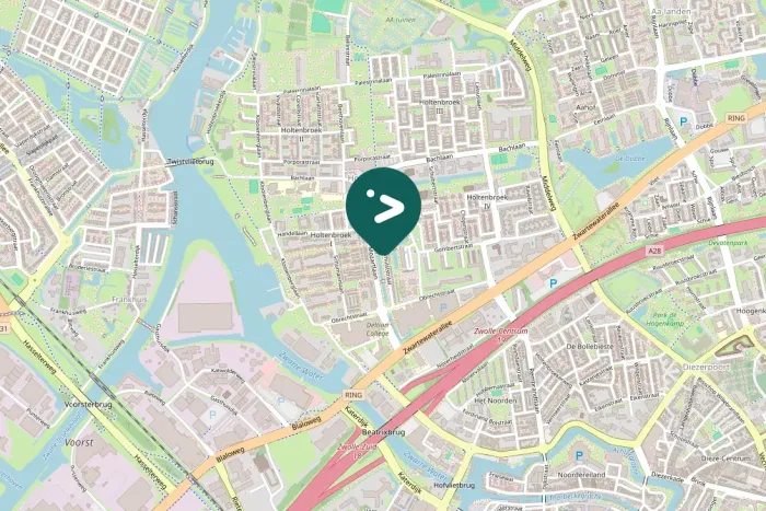 Gespotte Zwarte kraai