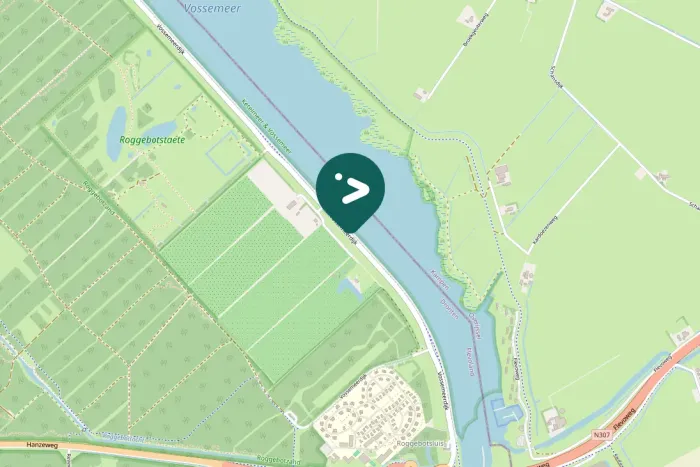 Gespotte Zwarte kraai