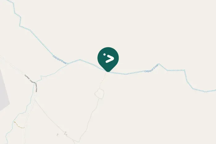 Gespotte Regenboogbijeneter