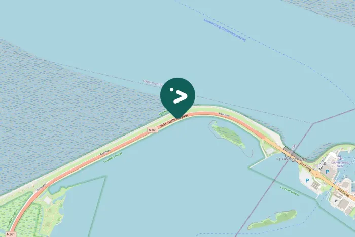 Gespotte Zilvermeeuw