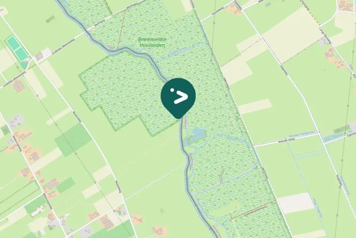 Gespotte Waterpieper