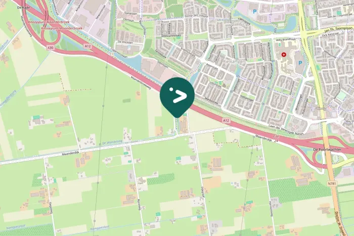 Spotted Eurasian Green Woodpecker