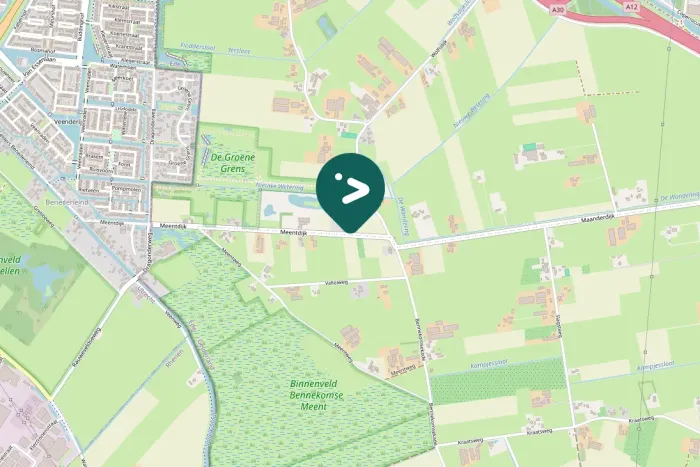 Spotted European Robin