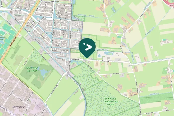 Spotted Ring-necked Pheasant