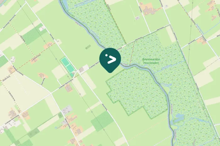 Spotted Greater White-fronted Goose