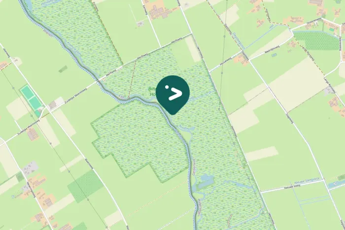 Spotted Meadow Pipit