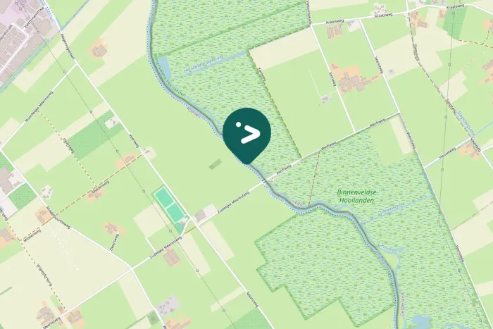 Spotted Little Grebe