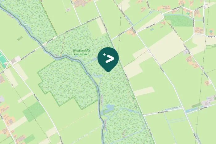 Spotted Green-winged Teal