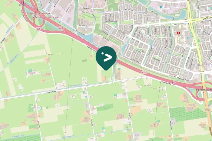 Spotted Carrion Crow