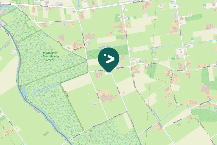 Spotted Short-toed Treecreeper