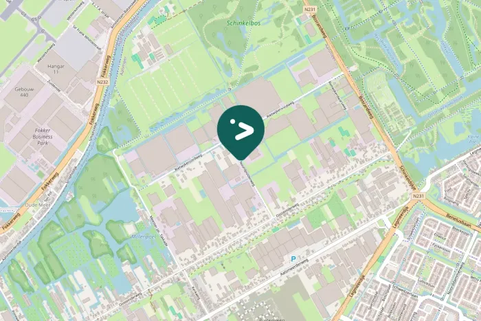 Gespotte Knobbelzwaan