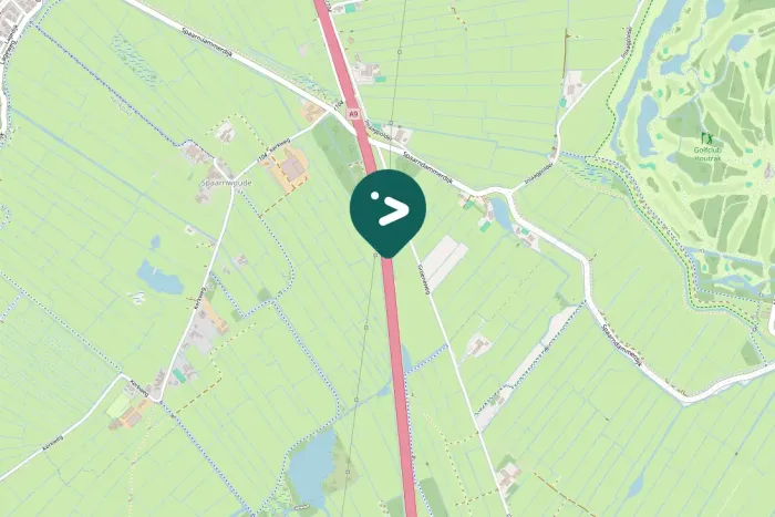 Gespotte Grote zilverreiger