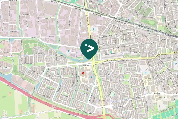 Spotted Black-headed Gull