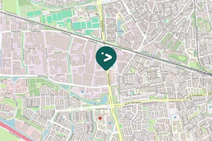 Spotted White Wagtail