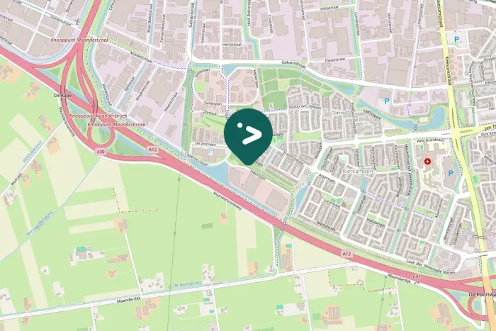 Spotted Long-tailed Tit