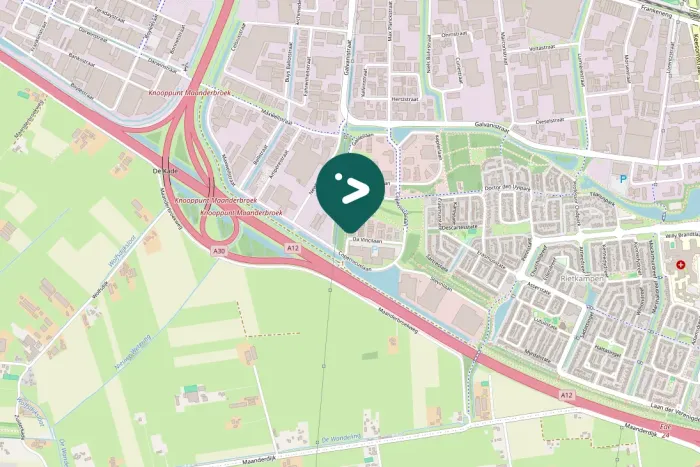 Spotted Common Chiffchaff