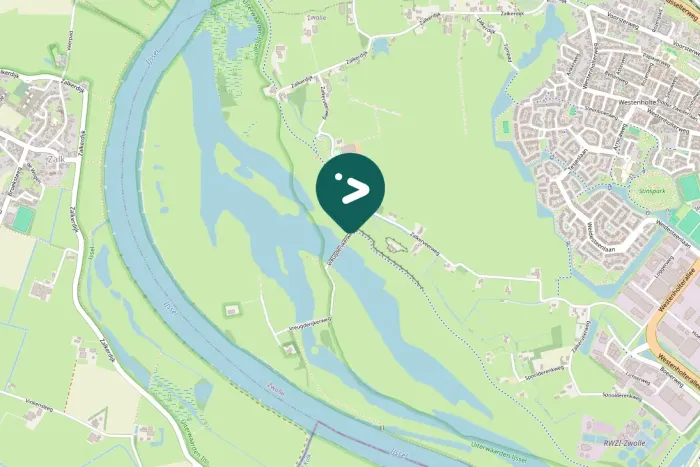 Gespotte Grauwe gans